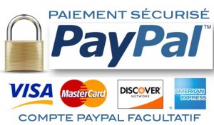 module-de-paiement-pour-e-commerce-1405320798